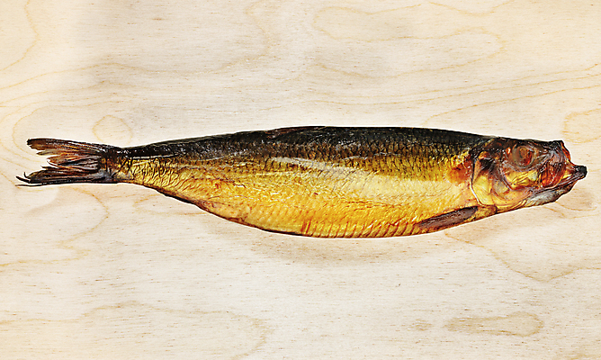 포토 JPG 해외이미지 스튜디오촬영 동물 음식 재료 건강 어류 요리 사람없음 빛 갈색 노란색 맛 해산물 날것 훈제 건강식 청어 카피스페이스 해외포토 컬러 컨셉 실내 수중동물 공백 파일형식 이미지허브