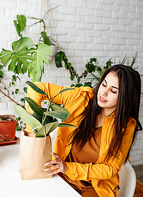 포토 JPG 해외이미지 여자 화분 잎 실내 한명 앉기 상반신 성인 쇼핑백 노란색 성인여자한명만 홈가드닝 해외포토 식물 1 컬러 가방 모션 사람 내부 원예 여자한명만 성인여자만 파일형식 이미지허브