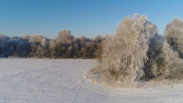 포토 JPG 해외이미지 나무 계절 겨울 밭 자연 풍경 사람없음 목재 태양 냉동 얼음 추위 덮개 흰색 시골 숲 시원함 서리 장면 조감도 눈내림 겨울풍경 해외포토 자연요소 식물 컬러 농업 재료 눈_날씨 뚜껑 생태계 파일형식 이미지허브