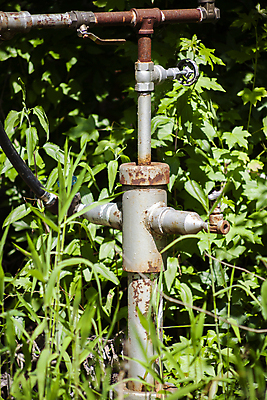 포토 JPG 해외이미지 음료 컨셉 유리 안내 주택 건강 손잡이 사람없음 컵 가로 환경 정원 거품 장비 흐름 추위 마시기 물방울 신선 잡기 닫기 떨어짐 보호 연결 수도꼭지 원예 가뭄 호스 건강식 빈털터리 뒤뜰 생태학 적자 하드웨어 해외포토 식기 교육 음식 모션 재질 날씨 취미 건물 컴퓨터 파일형식 이미지허브