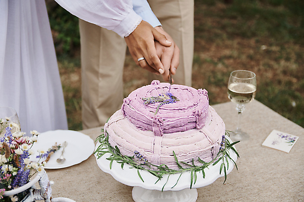 포토 JPG 해외이미지 접시 여자 남자 꽃 결혼 와인잔 들기 성인 두명 손잡기 꽃병 로맨틱 하반신 나이프 티스푼 자르기 웨딩케이크 성인만 스몰웨딩 해외포토 식물 식기 컨셉 술잔 모션 사람 이벤트 케이크 숟가락 칼 파일형식 이미지허브
