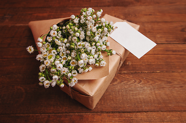 포토 JPG 해외이미지 기념일 리본 종이 꽃다발 백그라운드 컨셉 크리스마스 탁자 휴가 봉투 프레임 발렌타인데이 선물 이벤트 사람없음 목재 장식 빨간색 상자 갈색 우주 놀람 공백 수확 골동품 나뭇가지 시골 축하 인사 신용카드 생일 메시지 편지 활 복고 초대 팩 패키지 판지 구성 편지쓰기 포장소품 해외포토 나무 꽃 감정 컬러 가구 농업 재료 포장 데이이벤트 표정 금융 화장품 기록 예절 오브젝트 포장재료 파일형식 이미지허브