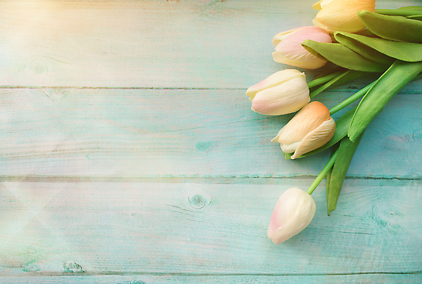 포토 JPG 해외이미지 식물 디자인 꽃 분홍색 꽃다발 결혼 백그라운드 잎 꽃무늬 텍스트 자연 탁자 엄마 휴가 부활절 프레임 발렌타인데이 선물 사랑 사람없음 목재 장식 초록색 물 뷰티 우주 봄 튤립 수확 벚꽃 흰색 시골 축하 신용카드 생일 정상 다발 질감 복고 해외포토 자연요소 나무 계절 기념일 감정 컬러 가구 컨셉 무늬 농업 재료 가족 데이이벤트 이벤트 금융 생태계 파일형식 이미지허브