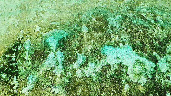 포토 JPG 해외이미지 파도 바다 섬 여행 백그라운드 자연 표면 휴가 안테나 사람없음 야외 물 파란색 만 투명 산호 질감 암초 석호 내추럴 조감도 터키석 파라다이스 카피스페이스 해외포토 자연요소 컬러 통신 공백 자포동물 보석 생태계 파일형식 이미지허브