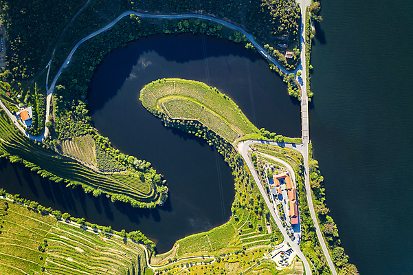 포토 JPG 해외이미지 나무 공원 유럽 여행 농업 자연 포도 안테나 파노라마 숙이기 사람없음 야외 초록색 물 강 컬러풀 마을 와인 계곡 강가 포르투갈 언덕 포도나무 내추럴 도루강 드론 해외포토 자연요소 식물 공공시설 나라 산업 컬러 포즈 과일 통신 주류 촬영기법 과일나무 생태계 파일형식 이미지허브