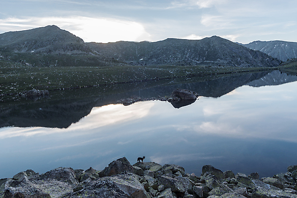 포토 JPG 해외이미지 나무 계절 호수 여행 백그라운드 자연 하늘 산 사람없음 야외 초록색 물 파란색 햇빛 반사 평화 우주 환경 계곡 일몰 봄 하이킹 프랑스 연못 액체 저녁 숲 그늘 부식 유기농 빙하 내추럴 생태학 안도라 해외포토 자연요소 식물 웰빙 교육 유럽 컬러 컨셉 레저 태양 노을 야간 생태계 파일형식 이미지허브