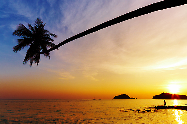 포토 JPG 해외이미지 실루엣 아시아 바다 섬 여행 태국 자연 하늘 휴가 손바닥 사람없음 물 컬러풀 태양 침묵 황혼 일몰 새벽 저녁 암초 석호 파라다이스 포상금 수평선 해외포토 자연요소 손 나라 컬러 돈 촬영기법 노을 소리 야간 생태계 파일형식 이미지허브