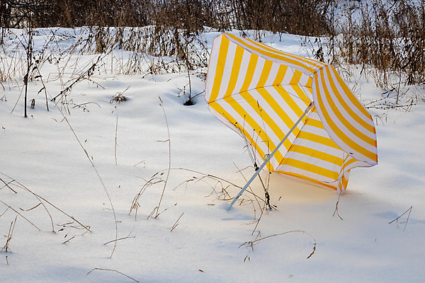 포토 JPG 해외이미지 계절 공원 여행 백그라운드 컨셉 크리스마스 겨울 우산 자연 날씨 휴식 새해 사람없음 야외 평화 환경 냉동 침묵 추위 달력 신선 오픈 원형 보호 심볼 복고 서리 장면 북쪽 땅바닥 눈내림 해외포토 도형 공공시설 기념일 바닥 눈_날씨 소리 방향 생태계 파일형식 이미지허브