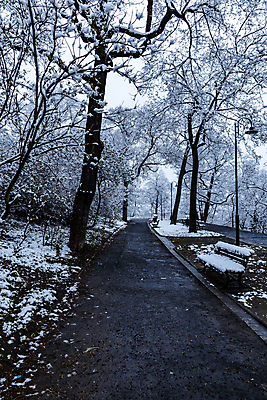 포토 JPG 해외이미지 나무 계절 공원 유럽 도로 길 겨울 자연 하늘 아침 날씨 풍경 사람없음 야외 목재 냉동 얼음 추위 흰색 나뭇가지 숲 오솔길 서리 장면 폴란드 내추럴 브로츠와프 눈내림 해외포토 주간 자연요소 식물 공공시설 나라 컬러 재료 교통시설 눈_날씨 생태계 파일형식 이미지허브