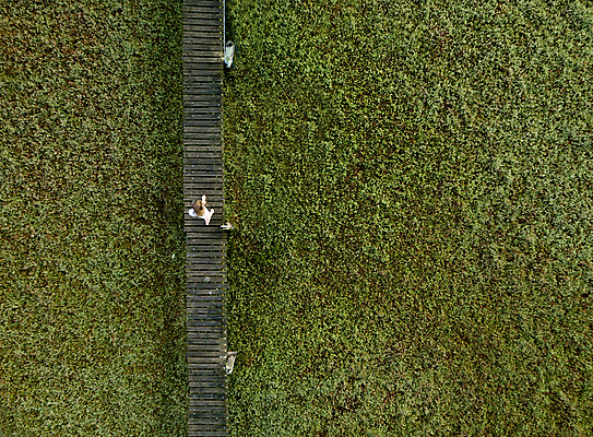 포토 JPG 해외이미지 여행 자연 휴가 안테나 사람 풍경 사람없음 목재 초록색 여름 산책 산책로 습지 질감 각도 머리위 주말 드론 해외포토 나무 계절 길 컬러 재료 통신 휴식 생태계 파일형식 이미지허브