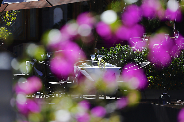 포토 JPG 해외이미지 나무 전통 꽃 안경 음료 여행 백그라운드 의자 탁자 호텔 휴가 휴식 요리 이벤트 사람없음 야외 목재 장식 여름 빛 컬러풀 태양 파티 여행객 식당 정원 축제 저녁식사 카페 흰색 축하 도시 우아함 냅킨 장면 화창 해외포토 자연요소 식물 잡화 계절 컬러 가구 컨셉 재료 숙소 날씨 사람 상점 식사 파일형식 이미지허브