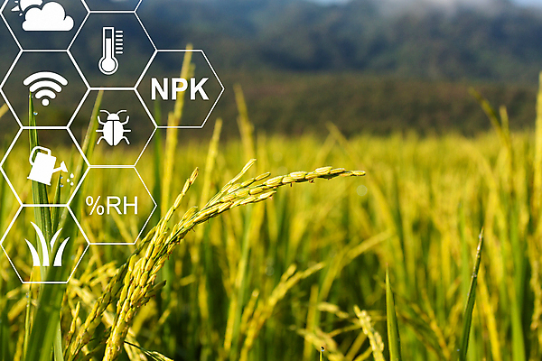 포토 JPG 해외이미지 산업 음식 농업 자연 밥 날씨 미래 사람없음 물 컴퓨터 농장 환경 모니터 장비 수확 해충 농부 물주기 생태학 해외포토 자연요소 직업 교육 컨셉 모션 전자제품 벌레 생태계 파일형식 이미지허브