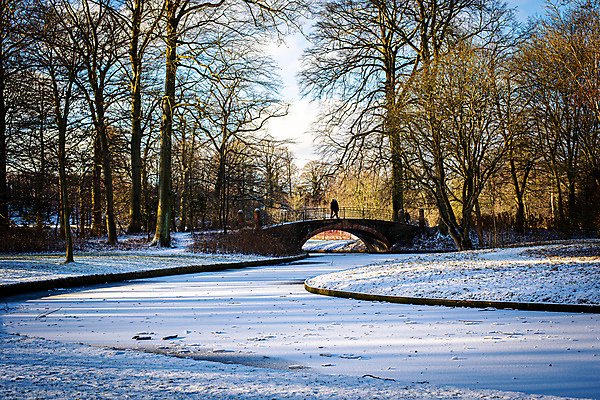 포토 JPG 해외이미지 나무 라이프스타일 계절 공원 유럽 여행 겨울 자연 눈사람 하늘 날씨 휴가 덴마크 사람 풍경 성인 사람없음 야외 파란색 햇빛 태양 뷰티 걷기 정원 얼음 산책 흰색 숲 내추럴 코펜하겐 폭설 눈내림 해외포토 자연요소 식물 공공시설 나라 컬러 모션 휴식 눈_날씨 북유럽 생활 자연재해 생태계 파일형식 이미지허브