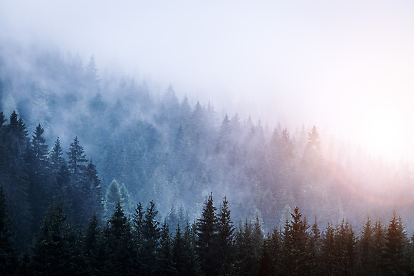 포토 JPG 해외이미지 공원 실루엣 여행 배낭 자연 벽지 아침 휴가 산 요정 그림자 풍경 사람없음 야외 햇빛 어둠 황혼 탐험 안개 시골 분위기 숲 신비 공상 마법 뿌연 생존 해외포토 주간 공공시설 컨셉 가방 날씨 촬영기법 태양 일몰 생태계 파일형식 이미지허브