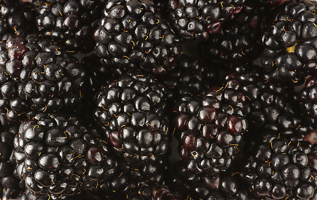 포토 JPG 해외이미지 열매 음식 백그라운드 농업 다이어트 채소 과일 디저트 건강 사람없음 여름 식사 봄 신선 그룹 달콤 아침식사 정상 유기농 날것 섬유 블랙베리 내추럴 숙성 채식주의자 비건 해외포토 식물 웰빙 계절 산업 직물 맛 채식 파일형식 이미지허브