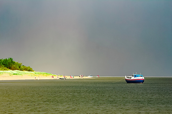 포토 JPG 해외이미지 주간 나무 바다 항해 사람 여러명 야외 큼 유람선 크루즈 해외포토 자연요소 식물 다수 배_교통 크기 파일형식이미지허브 