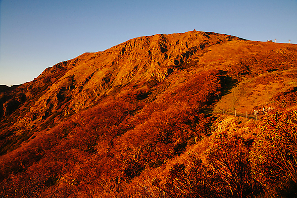 포토 JPG 해외이미지 나무 꽃 호수 자연 하늘 산 사람없음 태양 뷰티 계곡 침묵 황혼 일몰 안개 시골 호주 정상 언덕 해외포토 자연요소 식물 날씨 노을 소리 오세아니아 생태계 파일형식 이미지허브