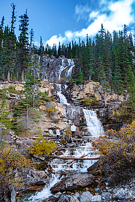 포토 JPG 해외이미지 나무 커플 공원 남자 여행 백그라운드 캐나다 자연 산 국립공원 풍경 사람없음 야외 물 여름 강 미국 폭포 흐름 개울 숲 큼 그림 전나무 빙원 앨버타 전국 해외포토 자연요소 식물 계절 공공시설 컨셉 북아메리카 관계 사람 크기 생태계 파일형식 이미지허브