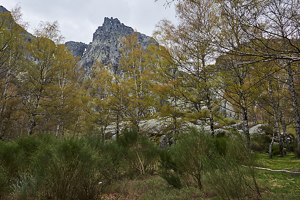포토 JPG 해외이미지 나무 식물 공원 유럽 길 호수 잎 겨울 자연 산 사람없음 야외 목재 초록색 물 강 반사 환경 나뭇가지 연못 숲 땅 포르투갈 운하 내추럴 보호구역 삼림지대 해외포토 자연요소 계절 공공시설 나라 컬러 재료 생태계 구역 파일형식 이미지허브