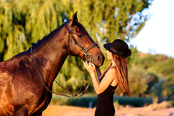 포토 JPG 해외이미지 나무 동물 백인 라이프스타일 드레스 공원 자연 조명 갈색머리 사랑 한명 풍경 여름 빛 태양 유행 검은색 일몰 우정 산책 광선 가을 가장자리 저녁 숲 날씬함 스타일 해외포토 자연요소 서양인 식물 1 헤어스타일 옷 계절 공공시설 감정 컬러 휴식 사람 생활 친구 노을 둘레 야간 몸매 생태계 파일형식 이미지허브