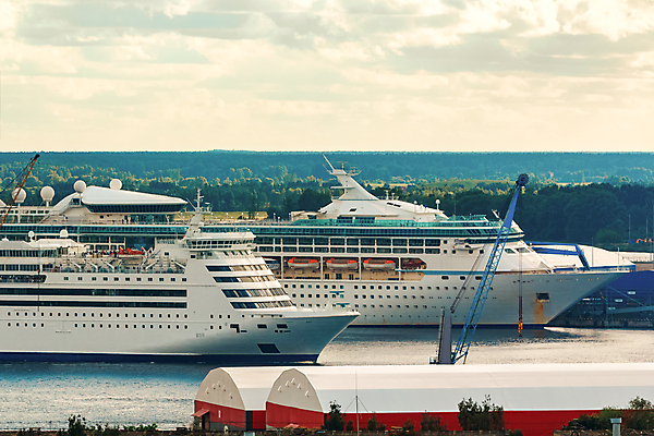 포토 JPG 해외이미지 주간 나무 바다 항해 사람없음 야외 큼 유람선 크루즈 해외포토 자연요소 식물 배_교통 크기 파일형식 이미지허브