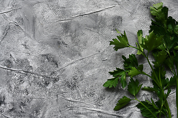 포토 JPG 해외이미지 식물 접시 잡화 음식 백그라운드 잎 다이어트 채소 재료 탁자 파슬리 건강 요리 사람없음 초록색 식사 회색 나뭇가지 신선 고명 사발 플랫 칼 맛 상품 정상 자르기 다발 먹기 향신료 오브젝트 유기농 위치 레시피 내추럴 채식주의자 개조 비건 해외포토 나무 식기 웰빙 컬러 가구 컨셉 모션 사기그릇 채식 향미료 파일형식 이미지허브