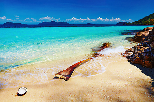 포토 JPG 해외이미지 나무 구름 아시아 모래 바다 섬 여행 태국 자연 하늘 휴가 손바닥 풍경 사람없음 물 여름 파란색 맑음 침묵 나뭇가지 산호 휴양지 코코넛 다도해 이국적 터키석 파라다이스 포상금 해외포토 자연요소 식물 손 계절 나라 컬러 돈 과일 날씨 소리 장소 자포동물 보석 생태계 파일형식 이미지허브