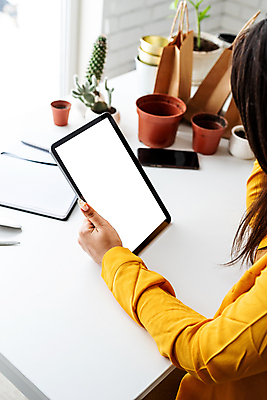 포토 JPG 해외이미지 여자 화분 선인장 실내 한명 들기 상반신 성인 태블릿 쇼핑백 노란색 책상 성인여자한명만 홈가드닝 해외포토 식물 1 컬러 가구 가방 모션 사람 내부 전자제품 스마트기기 원예 여자한명만 성인여자만 파일형식 이미지허브