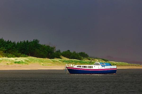 포토 JPG 해외이미지 주간 나무 바다 항해 사람없음 야외 작음 크루즈 해외포토 자연요소 식물 배_교통 크기 파일형식 이미지허브
