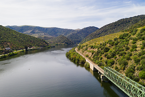 포토 JPG 해외이미지 나무 유럽 여행 농업 자연 포도 안테나 파노라마 사람없음 야외 강 와인 계곡 기차 시골 포르투갈 언덕 올리브 포도밭 포도나무 내추럴 도루강 드론 해외포토 식물 열매 나라 산업 육상교통 밭 과일 통신 대중교통 주류 촬영기법 과일나무 생태계 파일형식 이미지허브