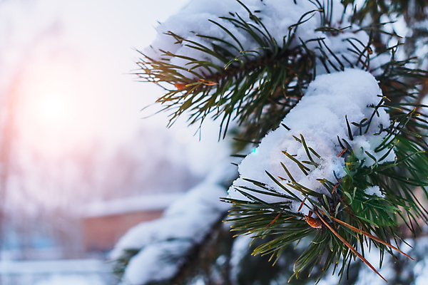 포토 JPG 해외이미지 직업 라이프스타일 지구 잎 오렌지 기술 이끼 사람없음 야외 초록색 전자제품 컴퓨터 상자 노란색 환경 금속 힘 블록 장비 젖음 전선 부채 은색 쓰레기 폐기물 철 버리기 묘사 망사 구식 깨짐 라디에이터 블러 생태학 설치 옛날 전압 현재 해외포토 식물 교육 컬러 컨셉 과일 모션 재질 생활 직물 파일형식 이미지허브