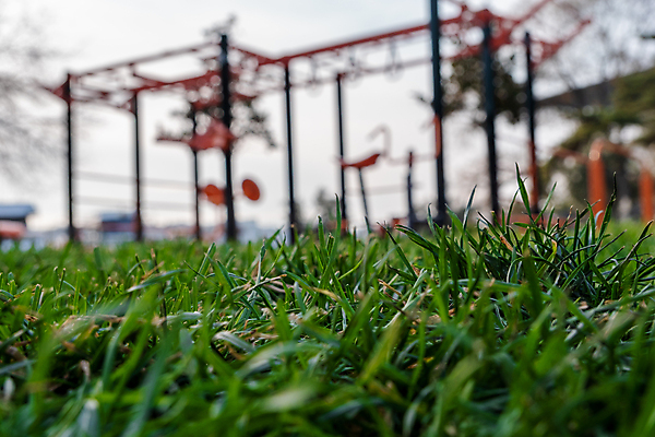 포토 JPG 해외이미지 나무 식물 라이프스타일 계절 공원 꽃 스포츠 백그라운드 잎 밭 자연 놀이 표면 건강 사람 풍경 사람없음 야외 초록색 여름 컬러풀 귀여움 환경 정원 봄 기쁨 성장 게임 신선 만족 질감 긍정 내추럴 땅바닥 인공 페어웨이 그리너리 완전 해외포토 공공시설 감정 컬러 컨셉 농업 골프 바닥 생활 생태계 파일형식 트랜드컬러 이미지허브