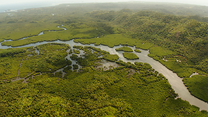 포토 JPG 해외이미지 나무 식물 아시아 야생동물 바다 섬 여행 백그라운드 잎 자연 휴가 풍경 사람없음 야외 목재 초록색 물 여름 강 뷰티 환경 침묵 나뭇가지 황무지 보호 숲 열대우림 생태계 뿌리 내추럴 조감도 해외포토 자연요소 동물 계절 나라 컬러 컨셉 재료 소리 파일형식 이미지허브