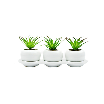 포토 JPG 해외이미지 식물 꽃 줄기 백그라운드 잎 패턴 자연 주택 실내 씨앗 사람없음 내부 장식 초록색 사무실 봄 성장 흰색 신선 사발 분위기 닫기 냄비 덩굴 자르기 오브젝트 흰배경 원예 아이비 내추럴 고립 바이탈 백자 진짜 파종 해외포토 계절 컬러 컨셉 무늬 비즈니스 모션 취미 건물 농사 도자기 사기그릇 솥 생태계 파일형식 이미지허브