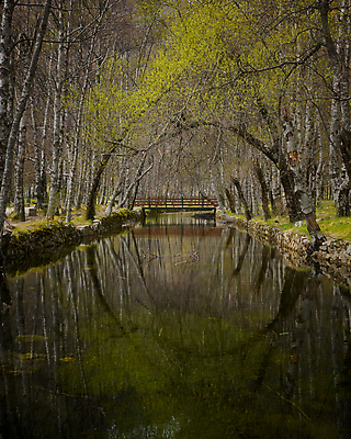 포토 JPG 해외이미지 나무 식물 공원 유럽 길 호수 잎 겨울 자연 산 사람없음 야외 목재 초록색 물 강 반사 노란색 환경 나뭇가지 연못 숲 땅 포르투갈 운하 내추럴 보호구역 삼림지대 해외포토 자연요소 계절 공공시설 나라 컬러 재료 생태계 구역 파일형식 이미지허브