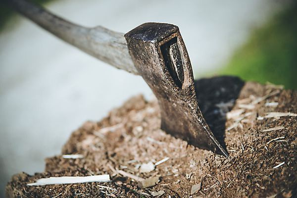 포토 JPG 해외이미지 모양 나무 패턴 자연 사람없음 목재 금속 힘 공구 시골 업무 역사 숲 위험 오두막 자르기 철 오브젝트 날카로움 과거 도끼 나무껍질 벌목 수목 옛날 해외포토 식물 컨셉 무늬 재료 모션 재질 껍질 도구 작업 생태계 파일형식 이미지허브
