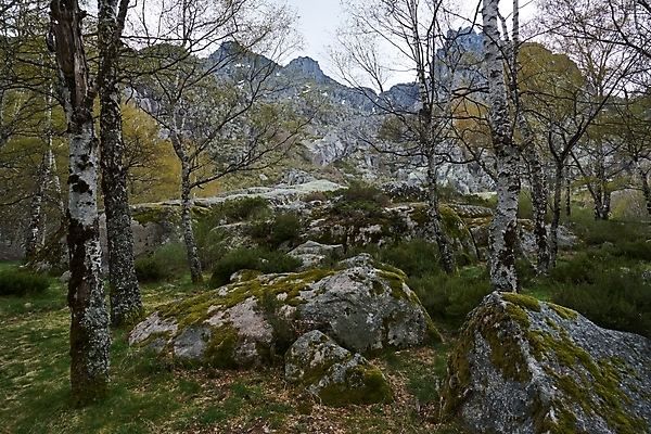포토 JPG 해외이미지 나무 식물 공원 유럽 길 호수 잎 겨울 자연 산 풍경 사람없음 야외 목재 초록색 물 강 반사 환경 가을 나뭇가지 연못 숲 땅 포르투갈 운하 내추럴 보호구역 삼림지대 해외포토 자연요소 계절 공공시설 나라 컬러 재료 생태계 구역 파일형식 이미지허브