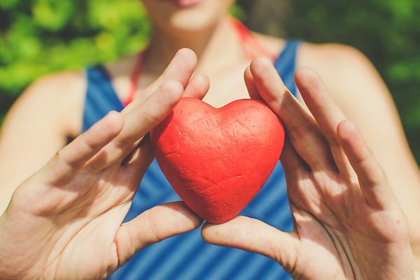 포토 JPG 해외이미지 모양 손 여자 남자 행복 무기 백그라운드 컨셉 가족 관계 자연 휴가 발렌타인데이 건강 관리 선물 사랑 사람 사람없음 빨간색 초록색 희망 하트 심장 축하 잡기 심볼 주기 열정 나눔 돌봄 헬프 자선단체 해외포토 감정 컬러 모션 데이이벤트 신체부위 도움 장기_의학 그룹 생태계 자선 파일형식 이미지허브