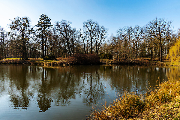 포토 JPG 해외이미지 나무 계절 공원 유럽 호수 겨울 벤치 자연 하늘 날씨 풍경 사람없음 야외 물 파란색 햇빛 태양 뷰티 반사 맑음 추위 흰색 나뭇가지 연못 숲 작음 폴란드 브로츠와프 해외포토 자연요소 식물 공공시설 나라 컬러 의자 크기 생태계 파일형식 이미지허브