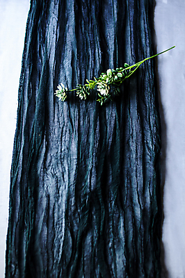 포토 JPG 해외이미지 전통 라이프스타일 디자인 결혼 백그라운드 컨셉 패턴 자연 탁자 표면 추상 휴가 쟁반 사람없음 장식 파란색 컬러풀 유행 보라색 수확 식탁보 시골 축하 직물 면 묘사 오브젝트 질감 복고 캔버스 섬유 염색 내추럴 그런지 달리기선수 페스츄리 핸드메이드 해외포토 빵 컬러 가구 무늬 농업 이벤트 생활 생태계 육상선수 파일형식 이미지허브