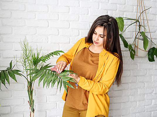 포토 JPG 해외이미지 여자 화분 잎 실내 한명 상반신 성인 노란색 닦기 성인여자한명만 홈가드닝 해외포토 식물 1 컬러 모션 사람 내부 원예 여자한명만 성인여자만 파일형식 이미지허브