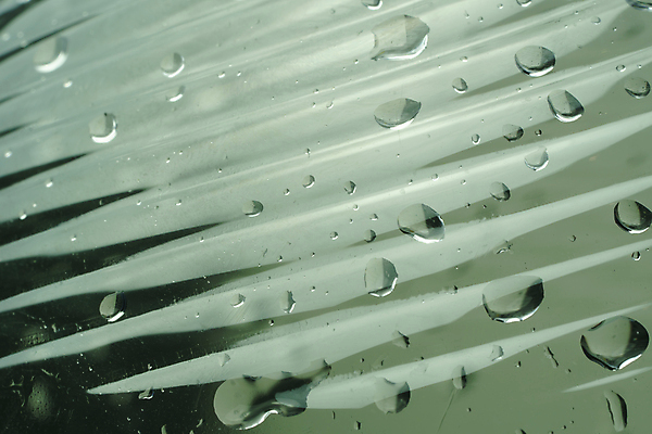 포토 JPG 해외이미지 디자인 옷 백그라운드 패턴 표면 추상 프레임 사람없음 빨간색 파란색 갈색 노란색 유행 우주 공백 직물 면 거친 삼베 묘사 유기농 질감 복고 캔버스 섬유 시들음 짜임 내추럴 아마 엘리먼트 엮은 옛날 잔물결 접기 필터 해외포토 웰빙 꽃 물결 컬러 무늬 모션 파일형식 천_직물 이미지허브