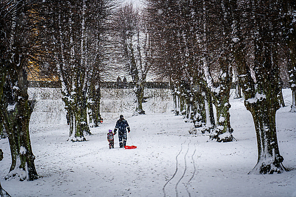 포토 JPG 해외이미지 나무 라이프스타일 계절 공원 유럽 여행 겨울 자연 눈사람 날씨 휴가 덴마크 사람 풍경 성인 사람없음 야외 뷰티 걷기 정원 얼음 산책 흰색 눈송이 숲 내추럴 옛날 코펜하겐 폭설 눈내림 해외포토 자연요소 식물 공공시설 나라 컬러 모션 휴식 눈_날씨 북유럽 생활 자연재해 생태계 파일형식 이미지허브