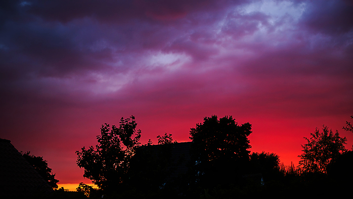 포토 JPG 해외이미지 나무 실루엣 오렌지 자연 하늘 불 바람 사람없음 빨간색 파란색 빛 컬러풀 햇빛 태양 노란색 우주 일출 환경 보라색 웹 어둠 일몰 나뭇가지 분위기 저녁 자주색 제비꽃 먼지 천국 빛망울 내추럴 깊이 오존 해외포토 자연요소 식물 꽃 컬러 컨셉 인터넷 과일 날씨 촬영기법 노을 야간 생태계 파일형식 이미지허브