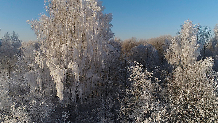 포토 JPG 해외이미지 나무 계절 겨울 밭 자연 풍경 사람없음 목재 태양 냉동 얼음 추위 덮개 흰색 시골 숲 시원함 서리 장면 조감도 눈내림 겨울풍경 해외포토 자연요소 식물 컬러 농업 재료 눈_날씨 뚜껑 생태계 파일형식 이미지허브