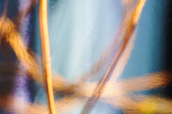 포토 JPG 해외이미지 디자인 옷 백그라운드 패턴 표면 추상 프레임 사람없음 빨간색 파란색 갈색 노란색 유행 우주 공백 직물 면 거친 삼베 묘사 유기농 질감 복고 캔버스 섬유 시들음 짜임 내추럴 아마 엘리먼트 엮은 옛날 잔물결 접기 필터 해외포토 웰빙 꽃 물결 컬러 무늬 모션 파일형식 천_직물 이미지허브