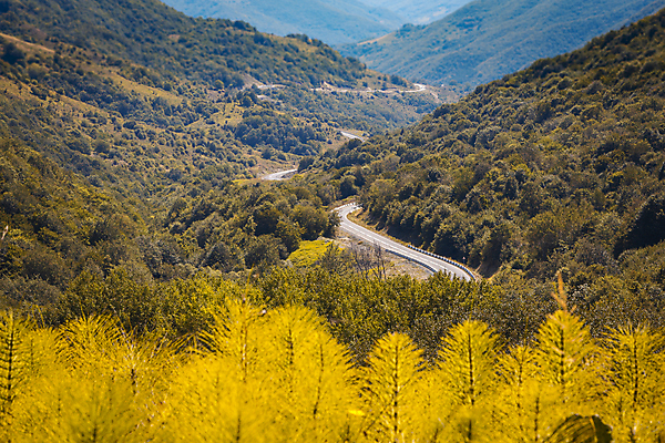 포토 JPG 해외이미지 여행 백그라운드 자연 하늘 아침 산 사람없음 야외 초록색 파란색 햇빛 태양 일출 계곡 일몰 새벽 정상 숲 언덕 산악지대 생태학 산맥 해외포토 주간 자연요소 교육 컬러 노을 생태계 파일형식 이미지허브