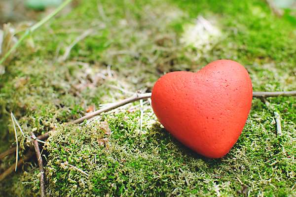 포토 JPG 해외이미지 모양 나무 디자인 행복 결혼 백그라운드 컨셉 자연 휴가 친절 기념 아이디어 발렌타인데이 선물 사랑 미술 사람없음 야외 장식 빨간색 초록색 여름 컬러풀 평화 봄 수확 하트 축하 신용카드 생일 숲 심볼 질감 섬유 수공예 핸드메이드 혼자 해외포토 식물 계절 기념일 감정 컬러 농업 데이이벤트 문화예술 이벤트 금융 직물 공예 생태계 파일형식 이미지허브