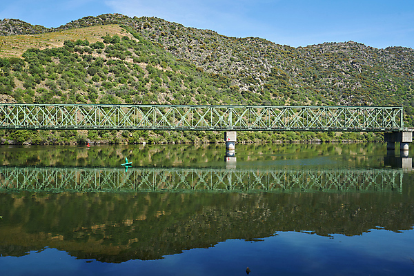 포토 JPG 해외이미지 나무 유럽 여행 농업 자연 포도 파노라마 사람없음 야외 강 농장 와인 계곡 기차 시골 보트 포르투갈 언덕 올리브 포도밭 포도나무 내추럴 도루강 해외포토 식물 열매 나라 산업 육상교통 밭 배_교통 과일 대중교통 주류 촬영기법 과일나무 생태계 파일형식 이미지허브