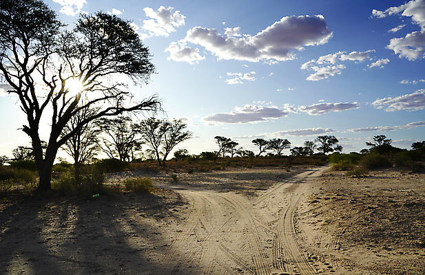 포토 JPG 해외이미지 도로 길 포크 이동 십자가 곡선 숙이기 사람없음 선택 오솔길 방향 왼쪽 교차로 심볼 네비게이션 나누기 다리찢기 고립 방법 오리엔테이션 해외포토 식기 선 포즈 컨셉 교통시설 모션 파일형식 이미지허브